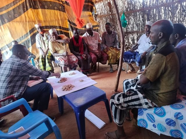 Designing Participatory Research in Border Communities